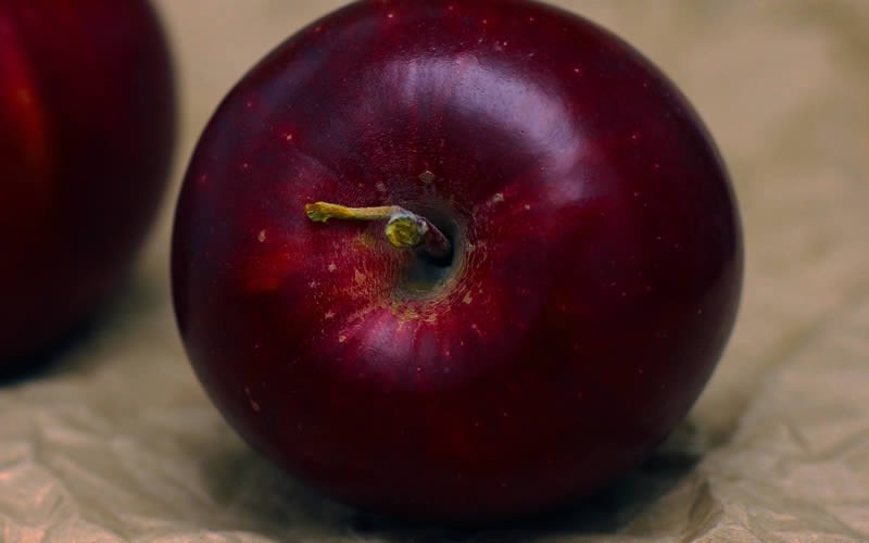 Arkansas Black Apple 5 Gallon Tree, Fruit Fruit Plants