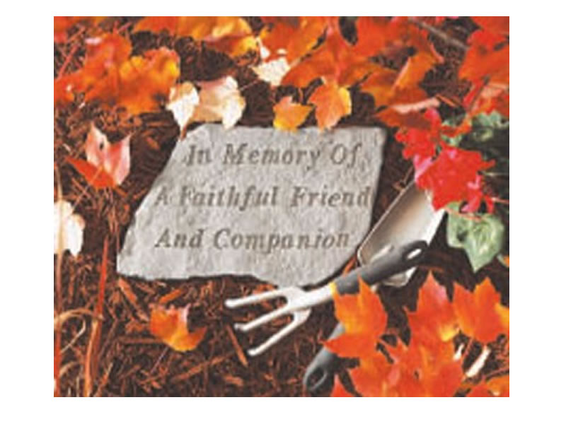 Garden Stone - In memory of A faithful friend and companion - 5 LBS - 14.5 X 9.5 - Garden Stones - Pets | ToGoGarden