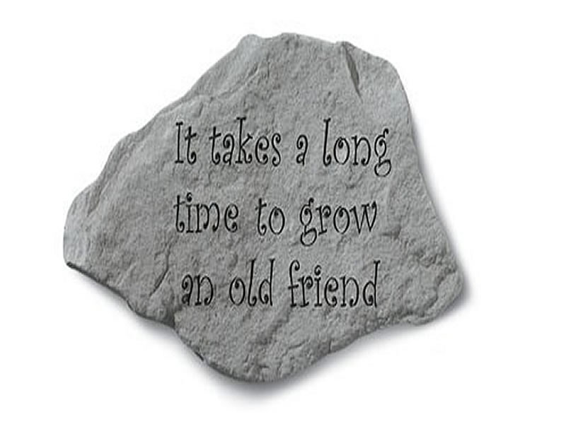 Garden Stone- It takes a long time... - 5 LBS - 13 X 7.5 - Garden Stones - Inspirational | ToGoGarden