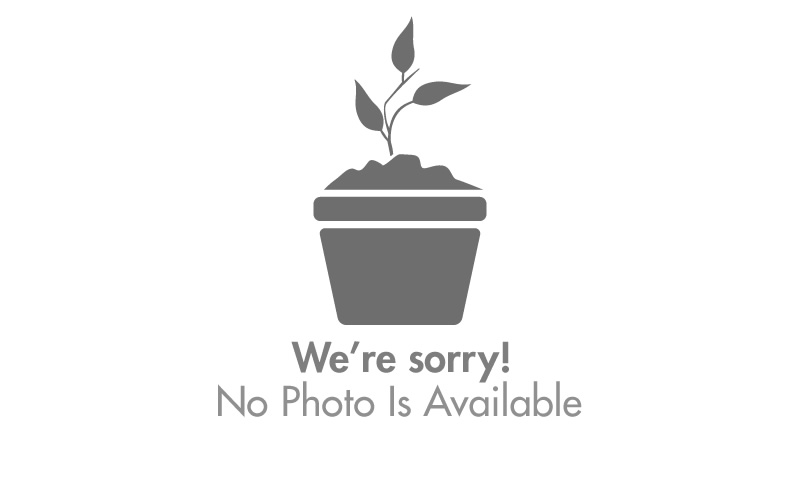 Oversize shipping charge with liftgate - Oversize shipping with liftgate - Buy Plants | ToGoGarden