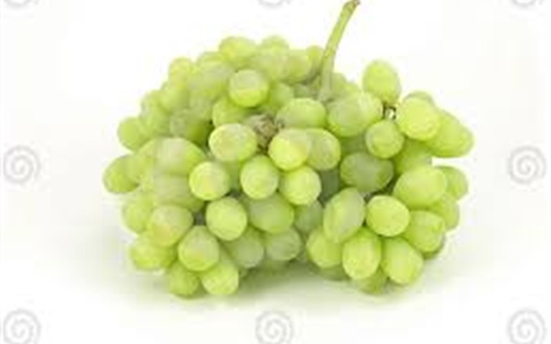 Thompson Seedless Grape - 1 Gallon - Vines, Fruit - Grapes