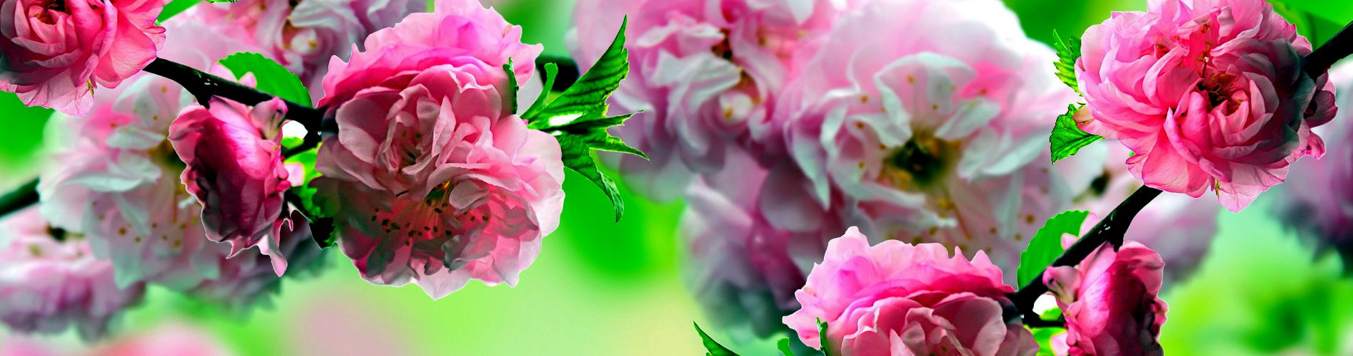 Spring Into Color!