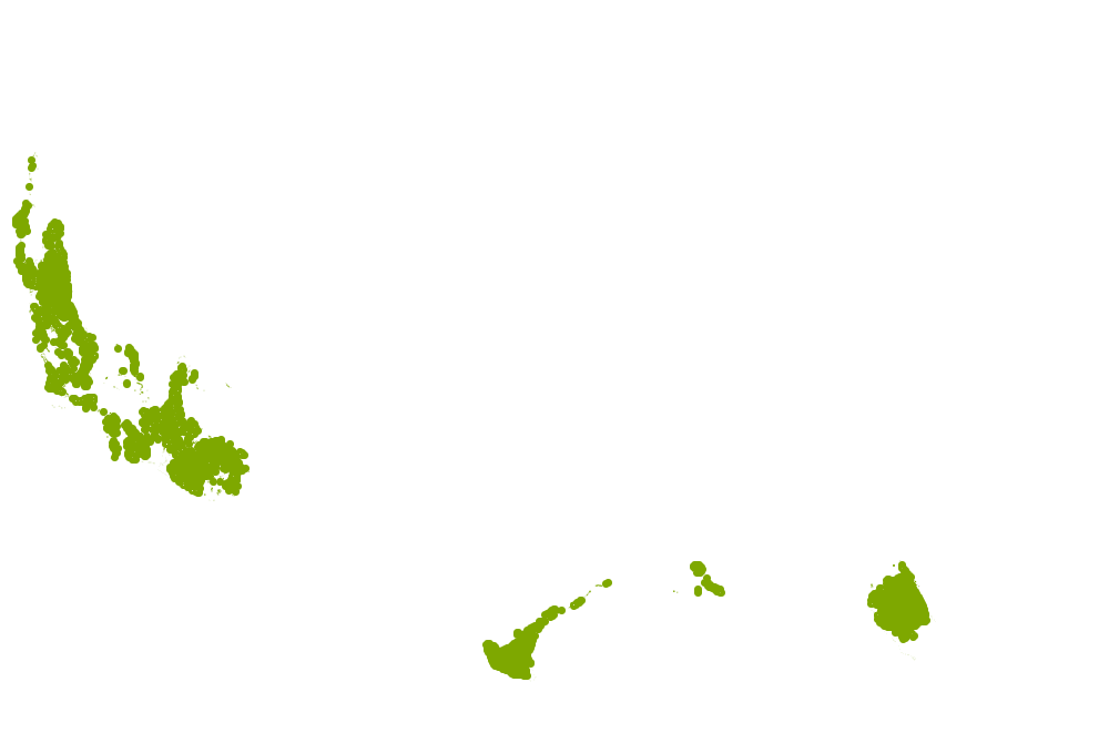 Maui Yellow Ixora grows well in zone 9B